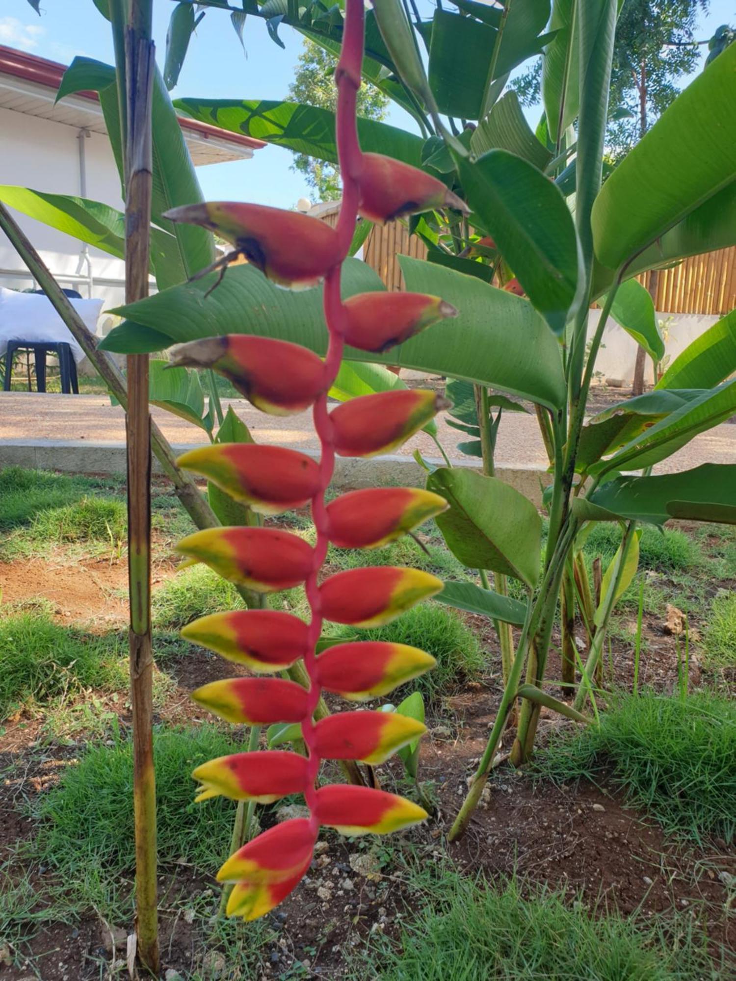 Tambisan Resort 圣胡安 外观 照片