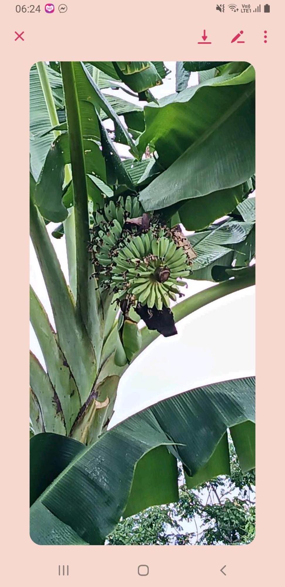 Tambisan Resort 圣胡安 外观 照片